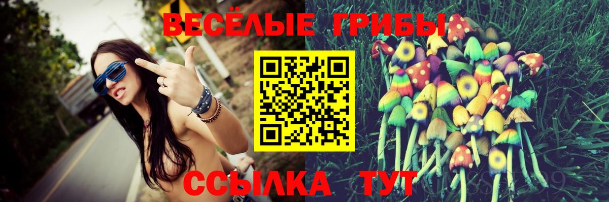 Псилоцибиновые грибы Magic Shrooms  Вход с VPN  Малоярославец 